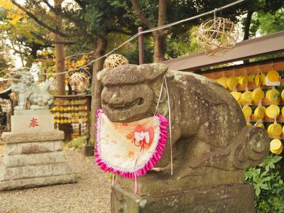 アイーン狛犬と可愛い御朱印☆習志野・菊田神社へ参拝