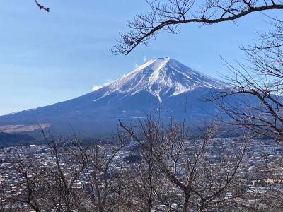 富士山三昧の旅