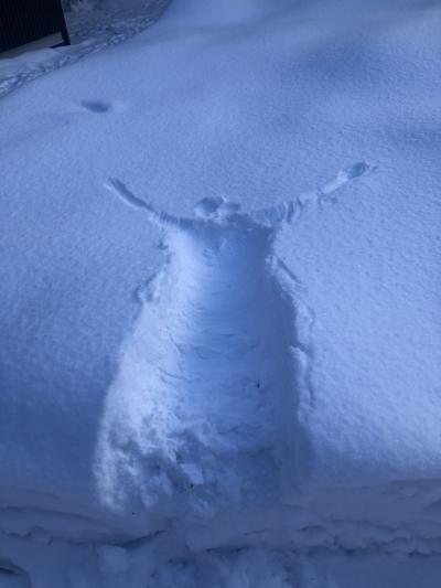 2023年1月＿大雪の秋田～夏瀬温泉都わすれ宿泊と角館観光～