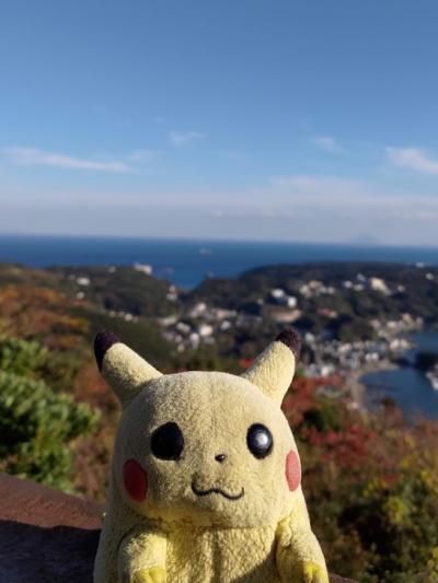 レンタサイクルと路線バスで行く下田一人旅(1日目)