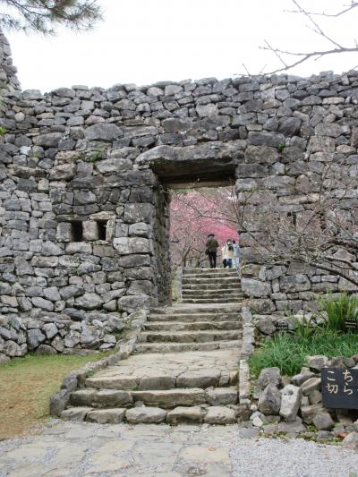 ハレクラニ沖縄滞在と今帰仁城跡の桜