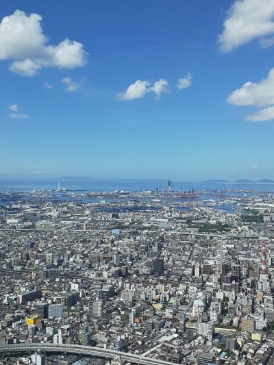 西国観音霊場巡り（３７）あべのハルカスから広大な大阪平野を眺め、次に四天王寺に向かう。