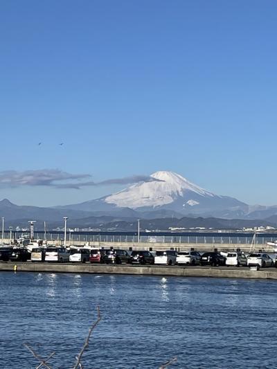 全国旅行支援湘南藤沢市