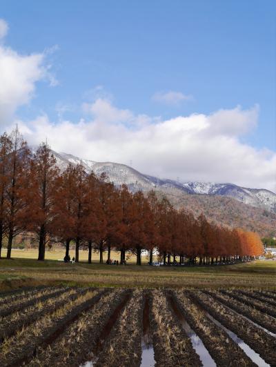 終わる秋を追いかけて・・紅燃ゆる古都へ*~帰路~*