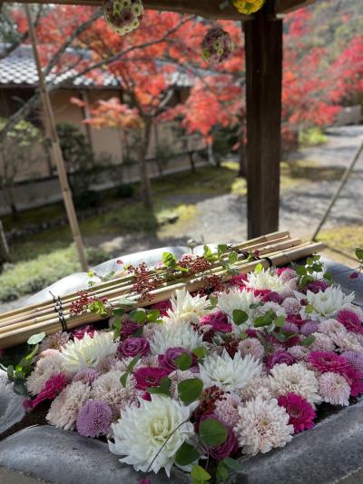 2022 秋 京都のこと