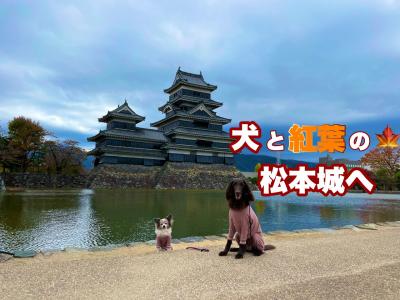 犬と行く　紅葉の松本