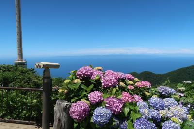 越後一宮彌彦神社を参拝してわっぱ飯を食し弥彦温泉でひとっ風呂