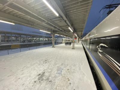 2023冬 加賀3：福井の味噌、恐竜、10年寒波