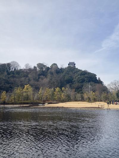 2023年2月　インディゴ犬山