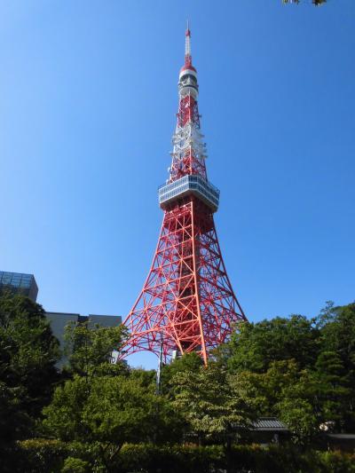 東京タワーからの景色