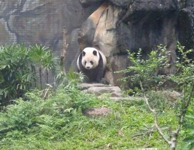 2022年11月　3年ぶりの台湾．３(台北市内･九分･金瓜石･十分･動物園･美麗華百楽園)