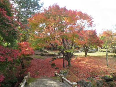 2022年11月 別府温泉2泊3日の旅＜第3日＞鶴見岳自然公園→真木大堂→富貴寺→両子寺