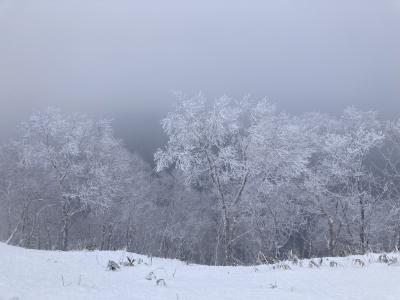 ツアーで行く冬の北海道