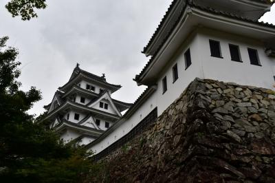 岐阜県：岐阜城、郡上八幡城、加納城（その2）