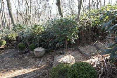 真冬の箱根旅♪　Vol.36 ☆強羅：ニコライ・バーグマン　箱根ガーデンズ♪