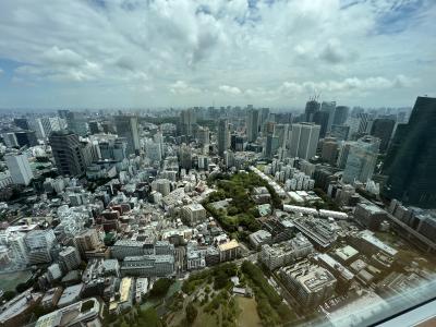 ラグビー日本VSフランス観戦の旅　その②リッツカールトン東京 TOWERS の夕食と朝食、ヒートエクスペリエンス