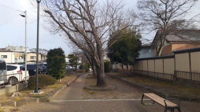 東京都区内発日帰り？ワンデー松島＆仙台2023・01(後編)