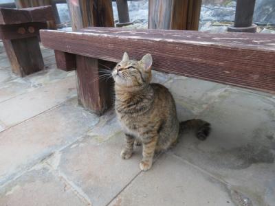 旅心がそそられる異国情緒が漂う長崎の街へ 雲仙編 ⑤