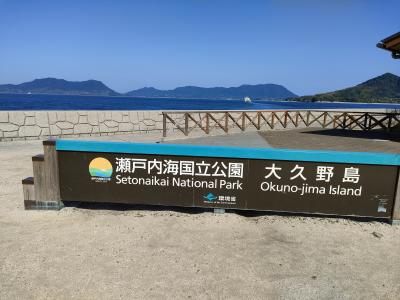 広島　うさぎの島　ふたり旅　これで野生なの？この人懐っこさで野生なの？