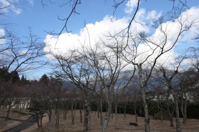 真冬の箱根旅♪　Vol.57 ☆強羅：箱根美術館　美しい日本庭園♪