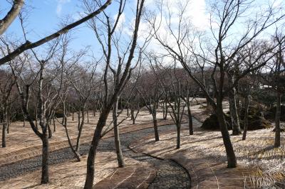 真冬の箱根旅♪　Vol.60 ☆強羅：箱根美術館　美しい日本庭園♪