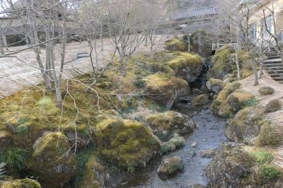 真冬の箱根旅♪　Vol.63 ☆強羅：箱根美術館　美しい日本庭園♪