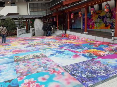 道後温泉 古湧園 遥 に泊まる 1