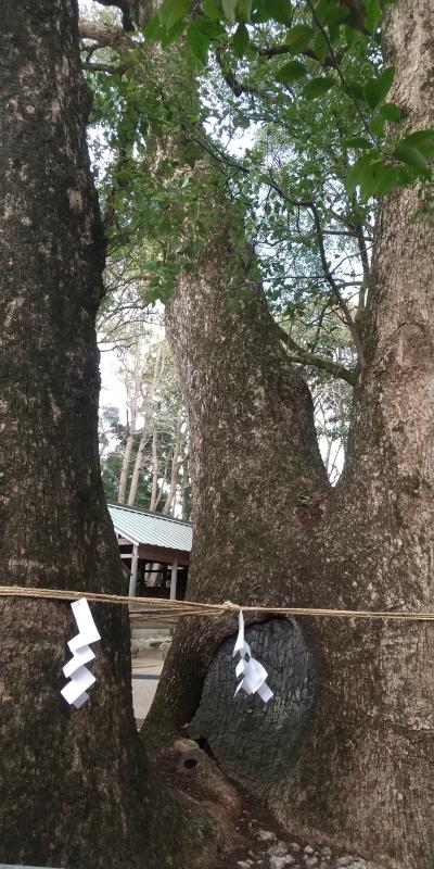 23　新春旅行　伊勢　２　河崎～伊勢神宮