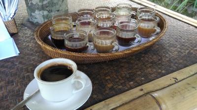 ジャコウネコの糞から採れる未消化のコーヒー豆からつくるルアークコーヒー