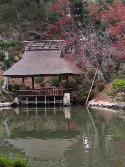 広島13　縮景園a　藩主の別邸が起源　☆1970年代に再整備/大銀杏‐被爆後も残存