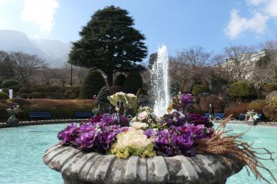 真冬の箱根旅♪　Vol.70 ☆強羅：箱根強羅公園　美しい冬の風景♪