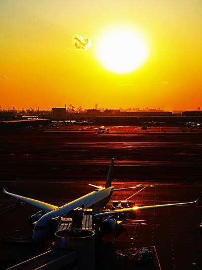 羽田空港　JAL258便-到着　広島空港～80分flight　☆西日/夕焼け-浴びて