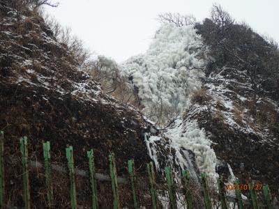 妙高杉ノ原と志賀高原焼額山でスキーと七味温泉