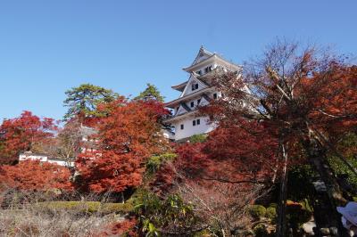 紅葉の妻籠、馬籠、下呂、郡上八幡めぐり