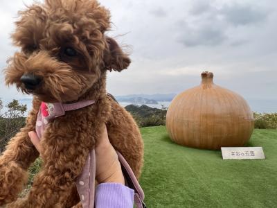 2022秋キャンプ(32)休暇村南淡路☆くうちゃん11