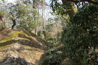 真冬の箱根旅♪　Vol.80 ☆強羅：箱根強羅公園　美しい冬の風景♪