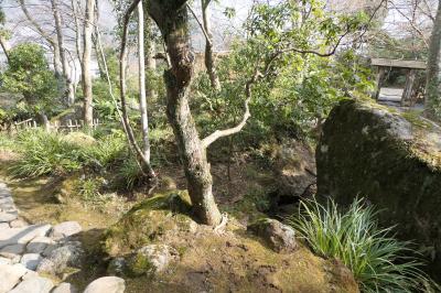 真冬の箱根旅♪　Vol.81 ☆強羅：箱根強羅公園　美しい冬の風景♪