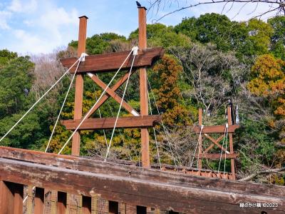 国道246号で大和市の泉の森公園（都内から下道＆無料駐車場）