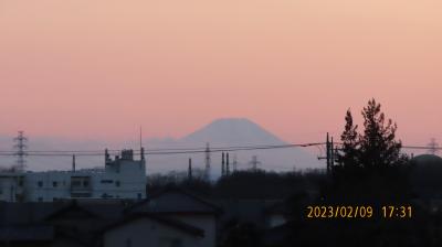 久し振りに見られた夕焼け富士
