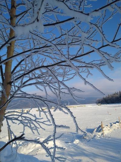 ツアーを利用して冬まつり開催中の北海道を満喫する①～阿寒湖の霧氷～