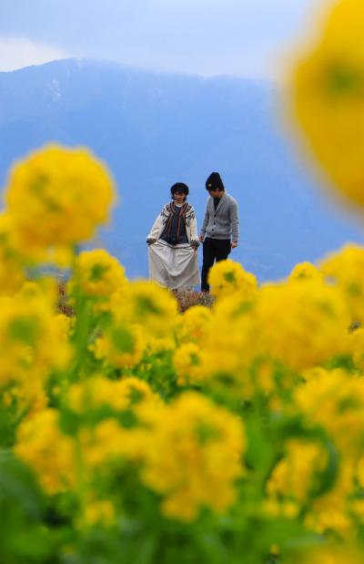 菜の花の黄色に元気貰って♪　rokoさんにも会えた第一なぎさ公園♪