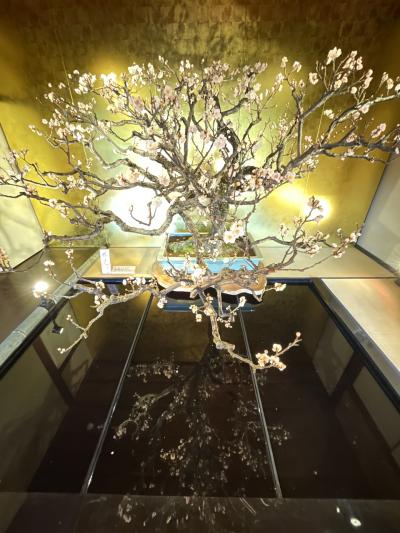 滋賀　長浜盆梅展&切り絵