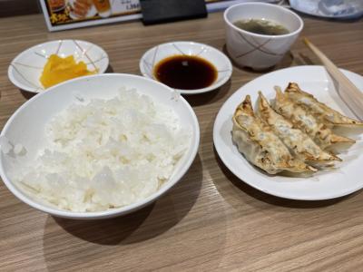 浜松も行ったし、宇都宮でも餃子を食べてみます