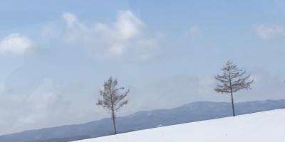 ⑯流氷ダブルクルーズと雪と光に包まれる5つの冬まつり　白銀の北海道感動の旅　4日目の４　メルヘンの丘～女満別空港～自宅・お土産