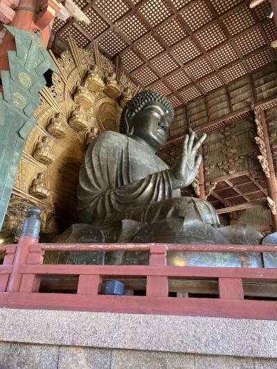 春日大社と大仏と郡山城