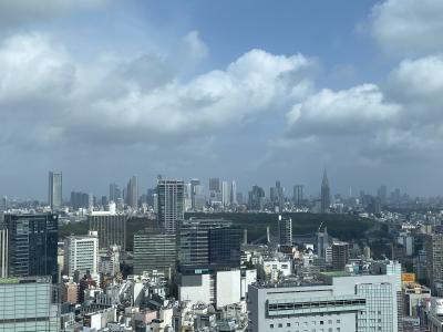 2022 セルリアンタワーとホテルニューグランド