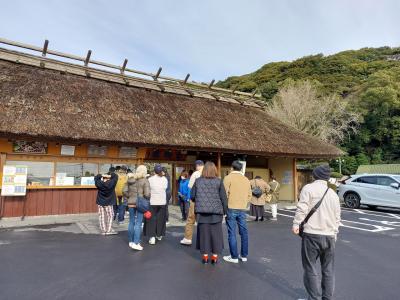 20年ぶりに別府地獄温泉めぐり