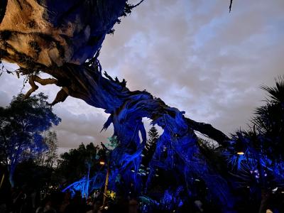 2023家族deフロリダディズニー②アニマルキングダムでアバターの世界に没入。おまけにエプコット