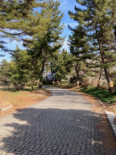 中山道駅伝単独走【第４区】28.0km　柏原→美江寺