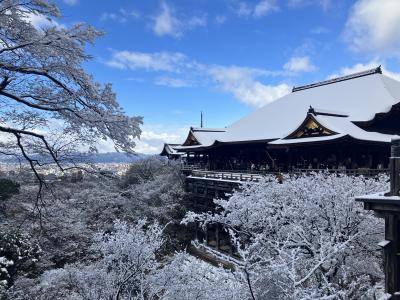 「初めての京都は雪の一人旅、感動とラッキーな2泊3日」